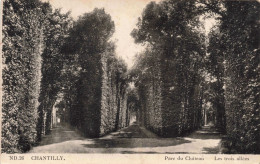 FRANCE - 60 - Chantilly - Parc Du Château - Les Trois Allées - Carte Postale Ancienne - Chantilly