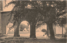 BELGIQUE - Tournai - Un Coin Du Parc - Carte Postale Ancienne - Tournai