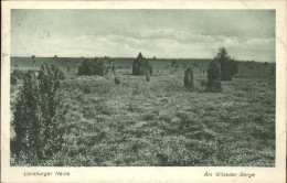 41325479 Lueneburger Heide Am Wilseder Berge Lueneburger Heide - Walsrode