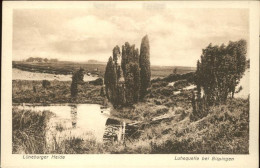 41325474 Lueneburger Heide Luhequelle Bei Bispingen Lueneburger Heide - Walsrode