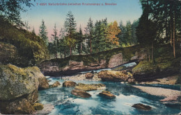 Naturbrücke Zwischen Krummenau Und Nesslau, BM: Zum: 184, Mi: 204x - Krummenau