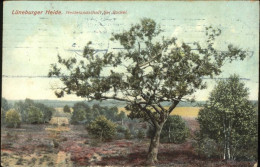 41325331 Lueneburger Heide Heidelandschaft Bei Bockel Lueneburger Heide - Walsrode