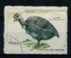Cuba - "Faune Sylvestre : Pintade" - Oblitéré N° 1435 De 1970 - Used Stamps