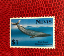 CHRISTOPHE NIEVES NEVIS 1993 1v Neuf MNH ** Mi Whale Marine Life Pez Fish Peixe Fisch Pesce Poisson - Ballenas