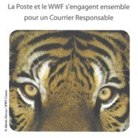 WWF PAP ENTIER POSTAL TIGRE, PANDA FLAMME LA POSTE 2011, VOIR LES SCANNERS - Lettres & Documents