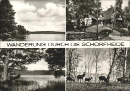 41534853 Schorfheide Naturpark Motive Schorfheide - Finowfurt