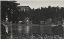 CHEVD 01 29 - ORMONT-DESSOUS - LAC DE CHAVONNES - Ormont-Dessous