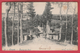 Erezée - Avenue Du Pont ... Attelage - 1905 ( Voir Verso ) - Erezée