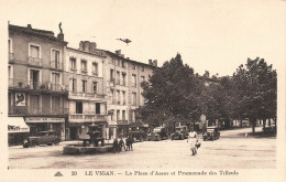 FRANCE - Le Vigan - La Place D'Assas Et Promenade Des Tilleuls - Carte Postale Ancienne - Le Vigan