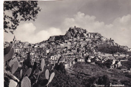 Cartolina Nicosia ( Enna ) Panorama - Enna