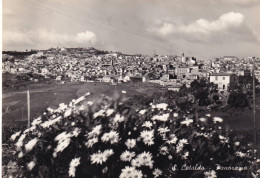 Cartolina San Cataldo ( Caltanissetta ) Panorama - Caltanissetta