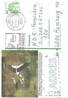 West Germany - Used Postal Stationery 1981 : Saulgau : White Stork On Nest With Chicks - Storchenvögel