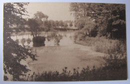 BELGIQUE - BRABANT FLAMAND - LENNIK - Château De Gaesbeek - Le Grand Etang Dit : "L'étang Tortu" - Lennik