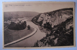 BELGIQUE - NAMUR - HASTIERE - FREYR - La Meuse Et Le Rocher "Le Lion" - Hastière