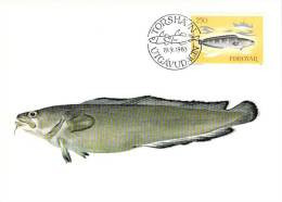 FEROE CARTE MAXIMUM NUM.YVERT 80 FAUNE MARINE POISSON - Färöer Inseln