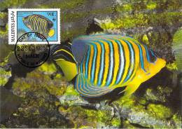 MALDIVE  WWF CARTE MAXIMUM NUM.YVERT  1078   PROTECTION DE LA NATURE  POISSON FAUNE MARINE - Cartes-maximum