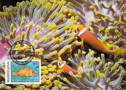 MALDIVE  WWF CARTE MAXIMUM NUM.YVERT  1079   PROTECTION DE LA NATURE  POISSON FAUNE MARINE - Cartoline Maximum