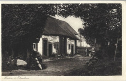 ELSENBORN : Maison à Elsenborn. - Butgenbach - Bütgenbach