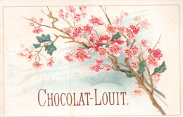 24-1025 . CHROMO. CHOCOLAT-LOUIT - Louit