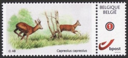 DUOSTAMP** / MY STAMP** -  Chevreuil / Reeën / Reh / Roe Deer / Capreolus Capreolus - BUZIN - Animalez De Caza