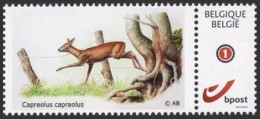 DUOSTAMP** / MY STAMP** -  Chevreuil / Reeën / Reh / Roe Deer / Capreolus Capreolus - BUZIN - Gibier