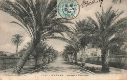 FRANCE - Hyères - L'Avenue Victoria -  Palmiers - Dos Non Divisé - Carte Postale Ancienne - Hyeres