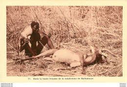 DANS LA HAUTE BROUSSE DE LA SUBDIVISION DE BAIBOKOUM  Ref2 - Tchad