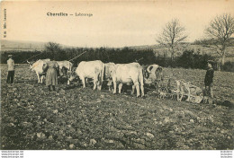 CHAROLLES LABOURAGE AGRICULTURE - Charolles