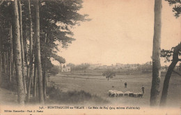 FRANCE - Montfaucon En Velay - Le Bois Fay - Troupeau De Moutons - Vue Générale - Carte Postale Ancienne - Montfaucon En Velay