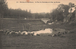 FRANCE - Environs De Montfaucon - Le Pont Des Rochettes Et Le Bois Des Blondes - Carte Postale Ancienne - Montfaucon En Velay