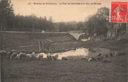 FRANCE - Environs De Montfaucon - Le Pont Des Rochettes Et Le Bois Des Blondes - Carte Postale Ancienne - Montfaucon En Velay