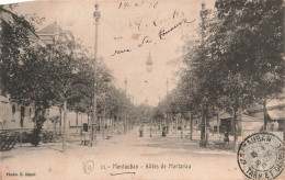 FRANCE - Montauban - Allées De Mortarieu - Carte Postale Ancienne - Montauban