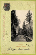 Ad5218 - SWITZERLAND Schweitz - Ansichtskarten VINTAGE POSTCARD - Thusis - Thusis