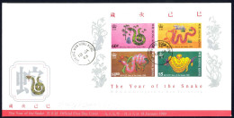 Hong Kong Sc# 537a FDC Souvenir Sheet 1989 1.18 Year Of The Snake - Lettres & Documents