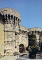 Pernes Les Fontaines Ancienne Capitale Du Comtat Venaissin La Porte De Villeneuv Et Vieille Fontaine ( Rempart écri 1976 - Pernes Les Fontaines