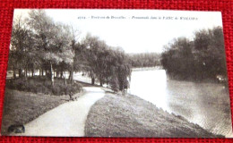 BRUXELLES  -  WOLUWE   - Promenade Dans Le Parc De Woluwé - Forêts, Parcs, Jardins