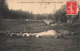 FRANCE - Environs De Montfaucon - Le Pont Des Rochettes Et Le Rois Des Blondes - Carte Postale Ancienne - Montfaucon En Velay