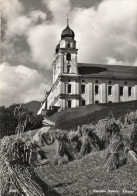 - GRISONS. - DISENTIS / MUSTER. - Kloster - Scan Verso - - Disentis/Mustér