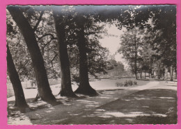 D78 - LOUVECIENNES - "DOMAINE DE VOISINS" - UN COIN DU PARC - CPM Dentelée Grand Format En Noir Et Blanc  - Louveciennes