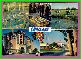 CPM CHALLANS 85 - Multivue Canard Sauvage Elevage Duck Vache Dans Le Pre Rue Monument - Challans