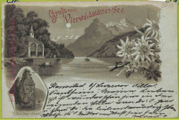 Ad5286 - SWITZERLAND - Ansichtskarten VINTAGE POSTCARD - Vierwaldstättersee - Wald