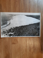 Grande Photo Lapie - Annee 1958 -40 La Grande Dune Du Pilat Sud  Arcachon - Ohne Zuordnung