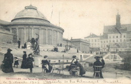 BELGIQUE  BRUXELLES  Les Serres Du Jardin Botanique - Bosques, Parques, Jardines