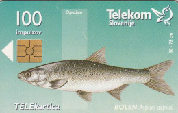 PHONE CARD SLOVENIA  (E4.25.5 - Slovénie