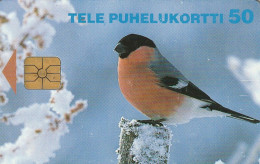 PHONE CARD FINLANDIA  (E4.10.5 - Finlandia