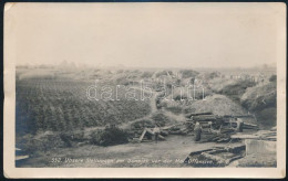 1915 Osztrák-magyar Védőállások A Keleti Fronton (Dunajec Folyó, Lengyelország), A Gorlicei áttörést Követően. Eredeti F - Other & Unclassified