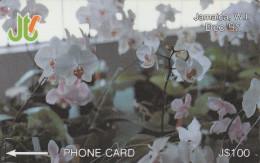 PHONE CARD GIAMAICA  (E5.17.3 - Jamaica