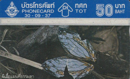 PHONE CARD TAILANDIA  (E5.12.2 - Thaïland