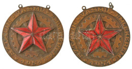 1951. "Kohászati Miniszter - Sztálin Vasmű Emlékérem" Részben Zománcozott, Bronzozott Fe Kitüntetés Medallion Része (2x) - Ohne Zuordnung