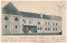 * T3/T4 1907 Algyógy, Geoagiu, Gergesdorf; Kastély Kerti Oldala. Adler Fényirda / Castle (fa) - Zonder Classificatie
